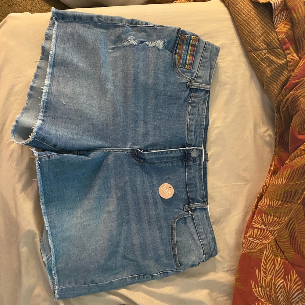 Lane Bryant Shorts